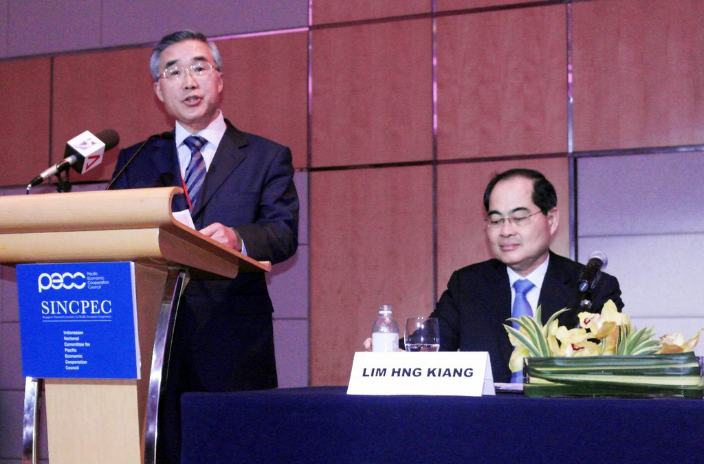 2013_SINCPEC_Conf_Min_Lim_Amb_Tang